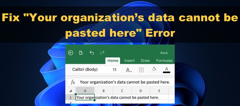 Your Organization’S Data Cannot Be Pasted Here: Ensuring Security
