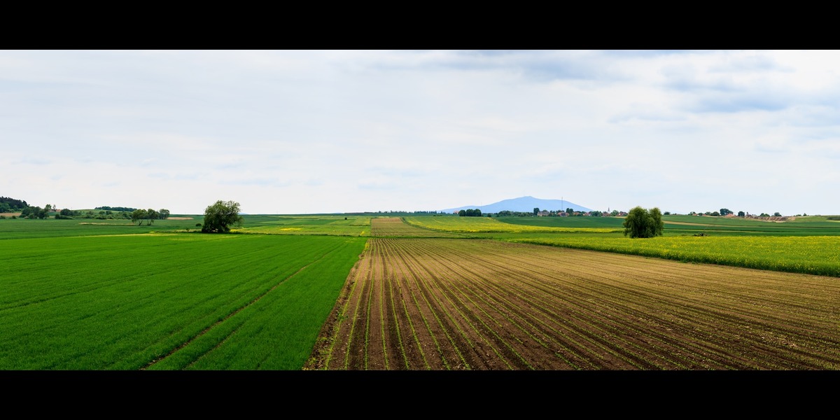 Selling Pasture Seed: A Guide to Growing Your Agricultural Business